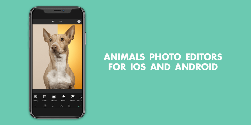 5 Best Animals Photo Editors for iOS & Android in 2024
