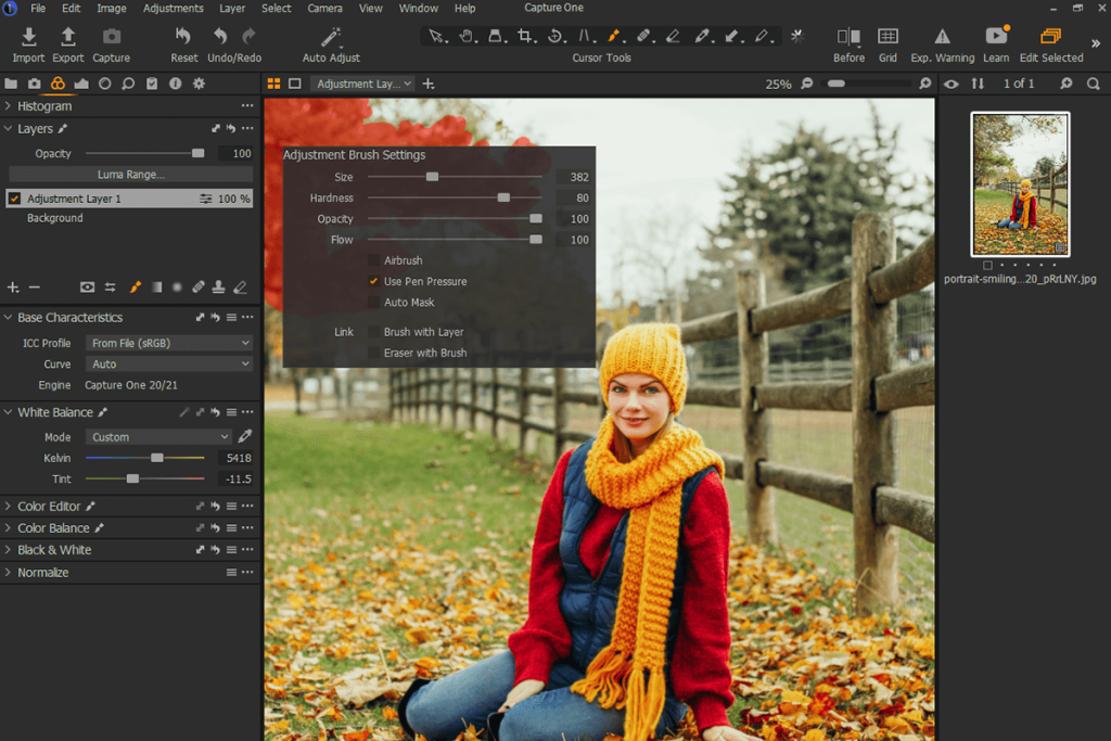 20 Best Photo Editing Software for Photographers to Use in 2024
