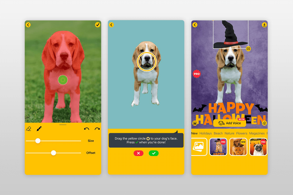 dog photo editor animals photo editor interface