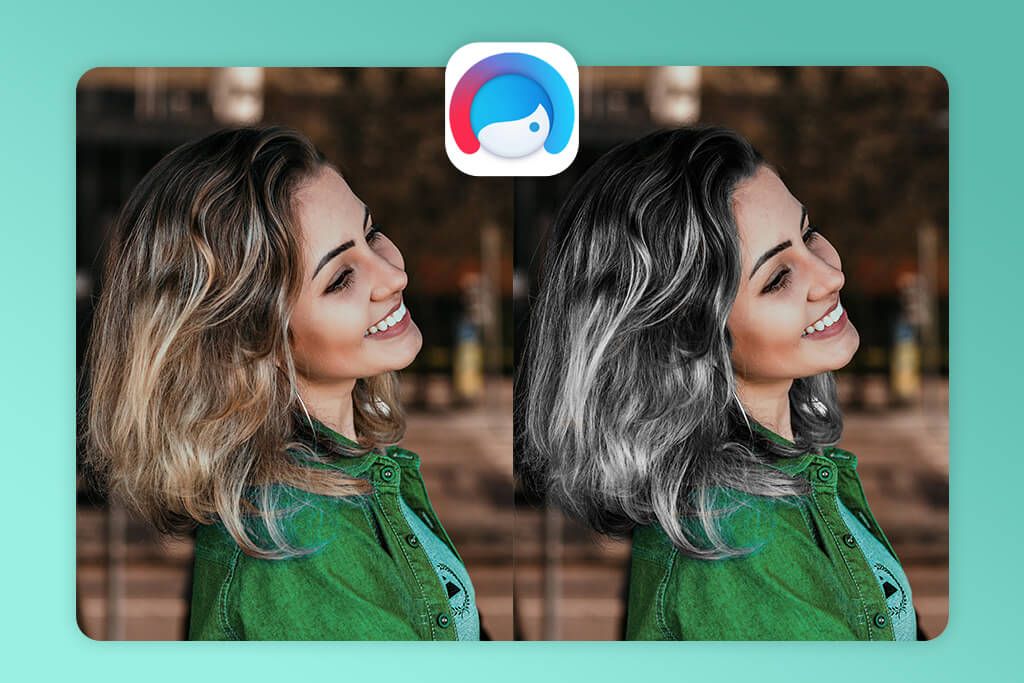 facetune gray hair filter app