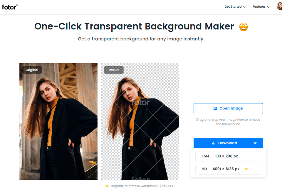 fotor background remover tool