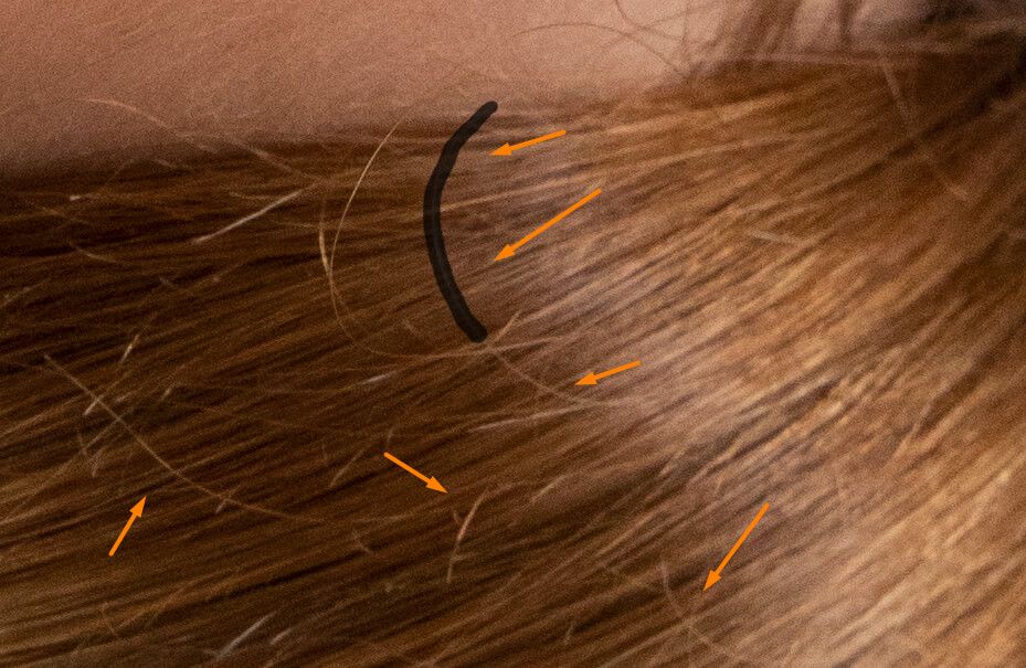 how to edit hair in adobe photoshop