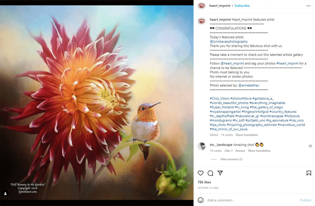 How to Promote Photography on Instagram Using Hashtags