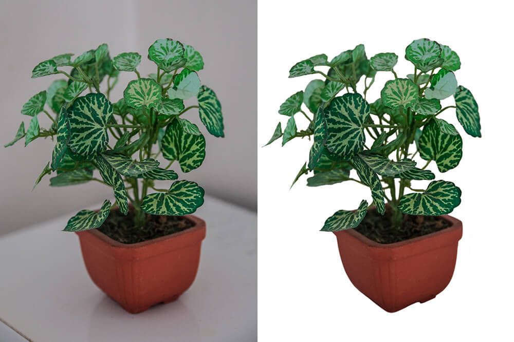 image background removal service List Masking