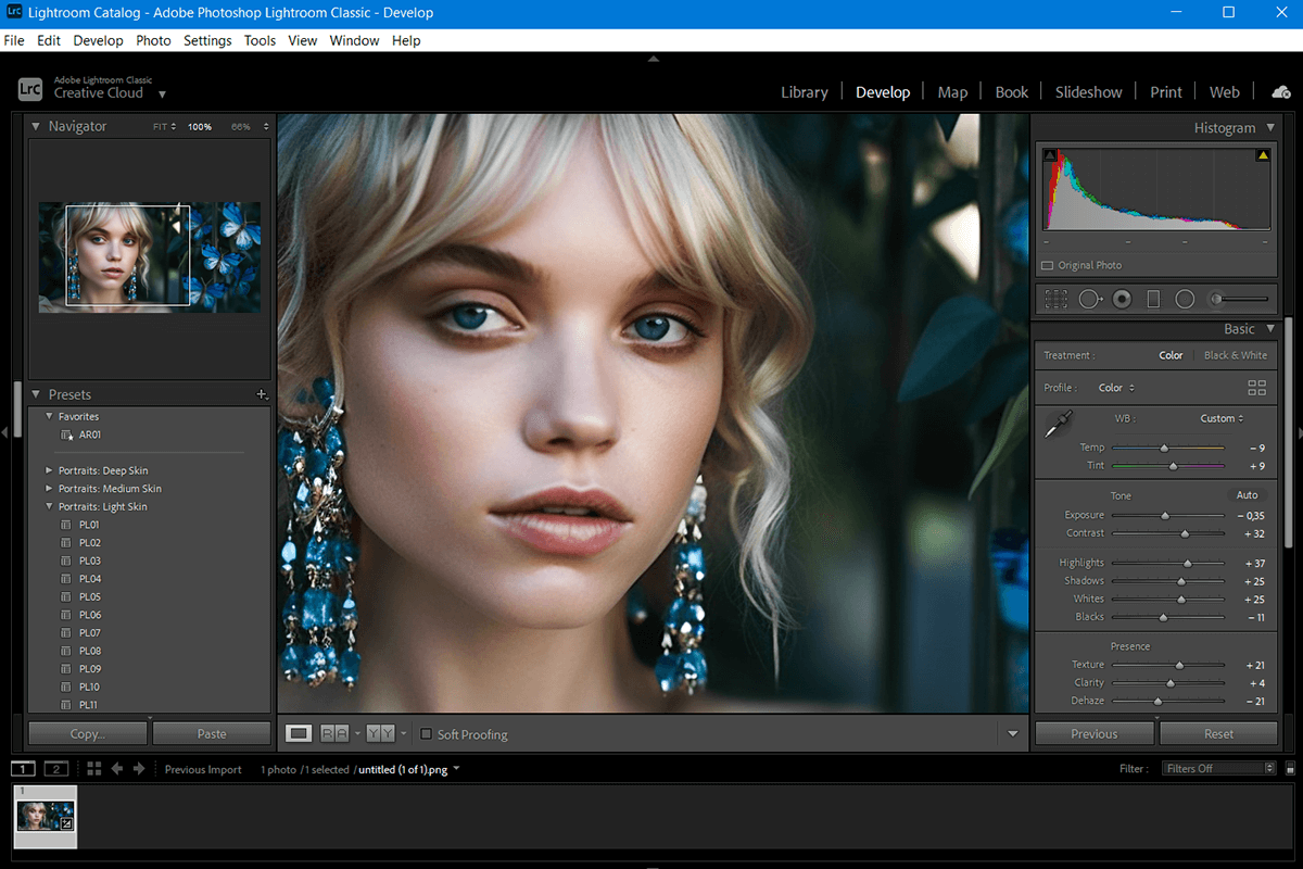 lightroom auto photo enhancer interface