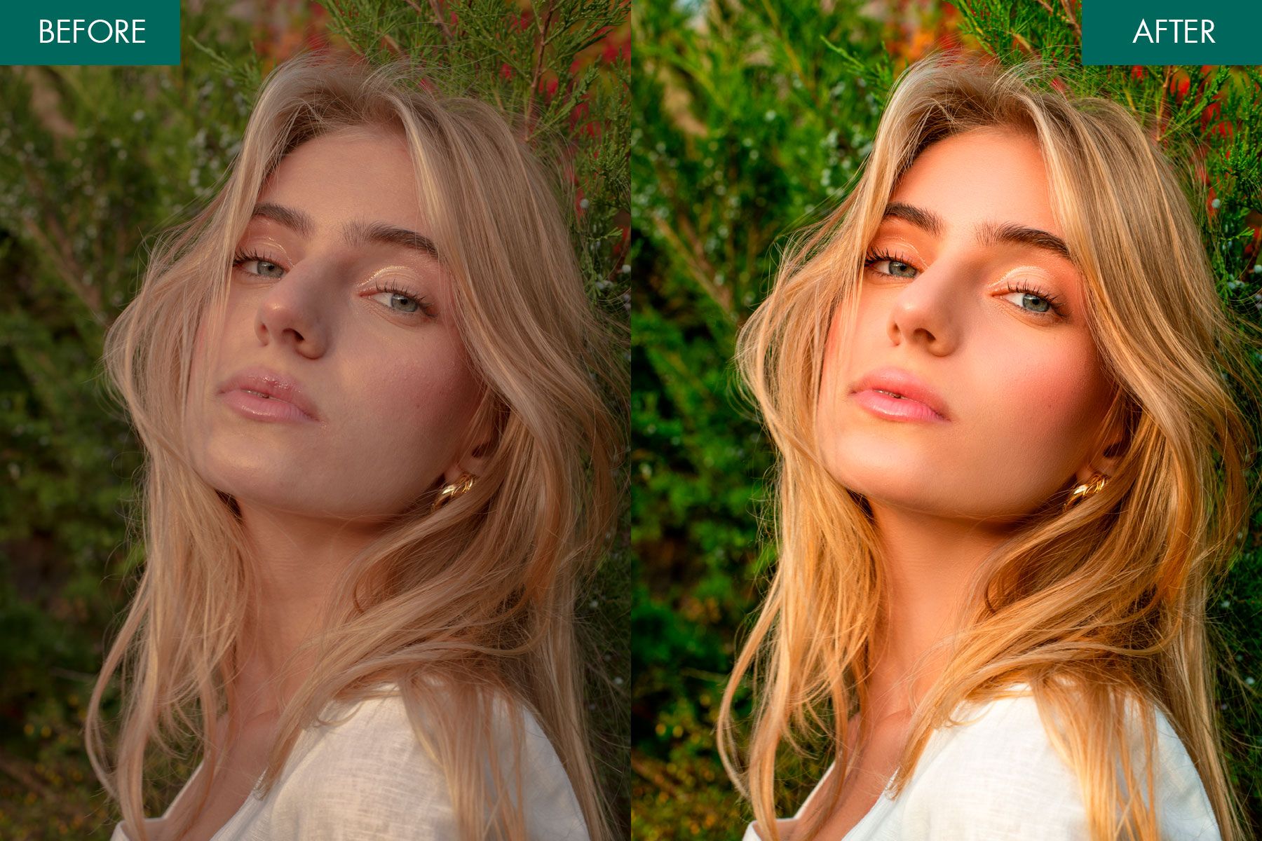 fall picture ideas photo correction services