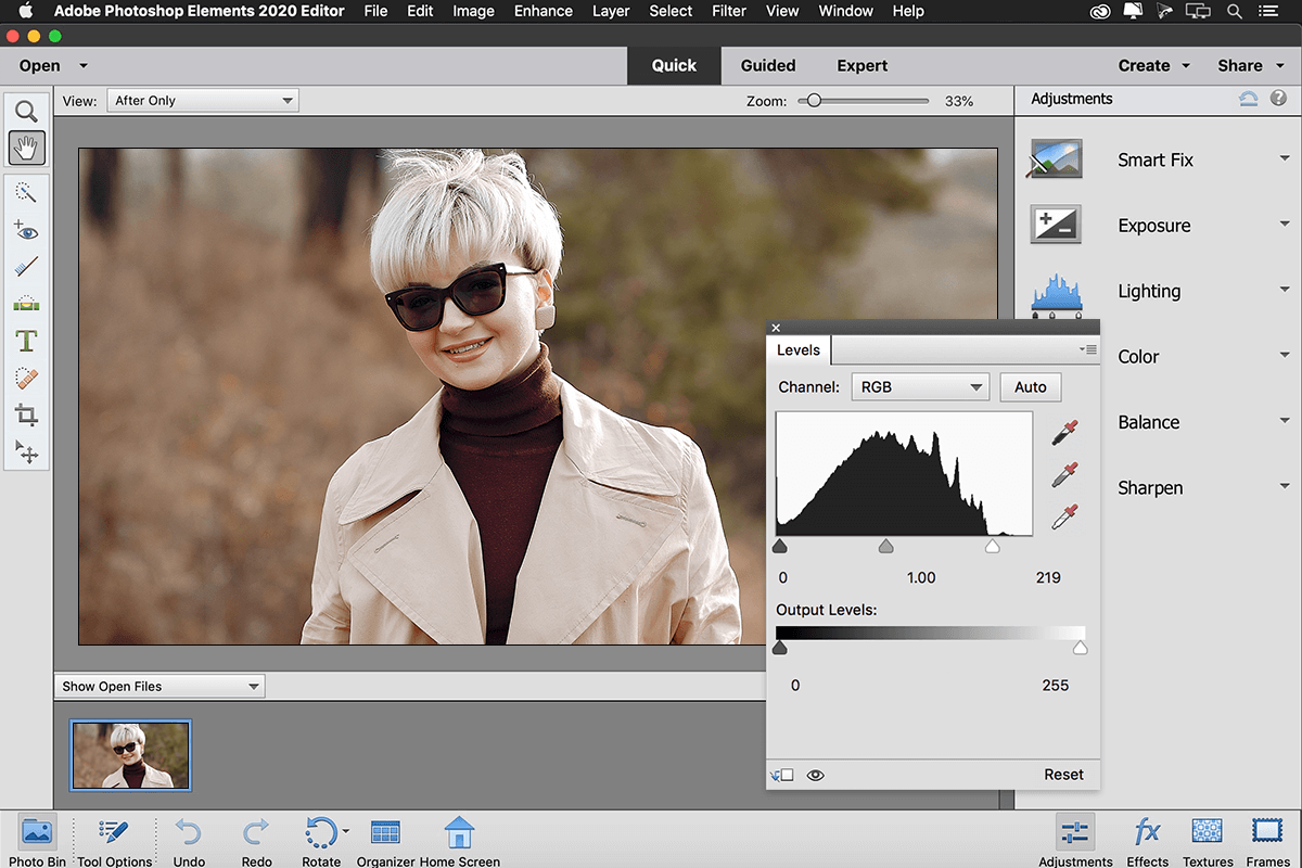 photoshop elements photo editing software for photographers interface