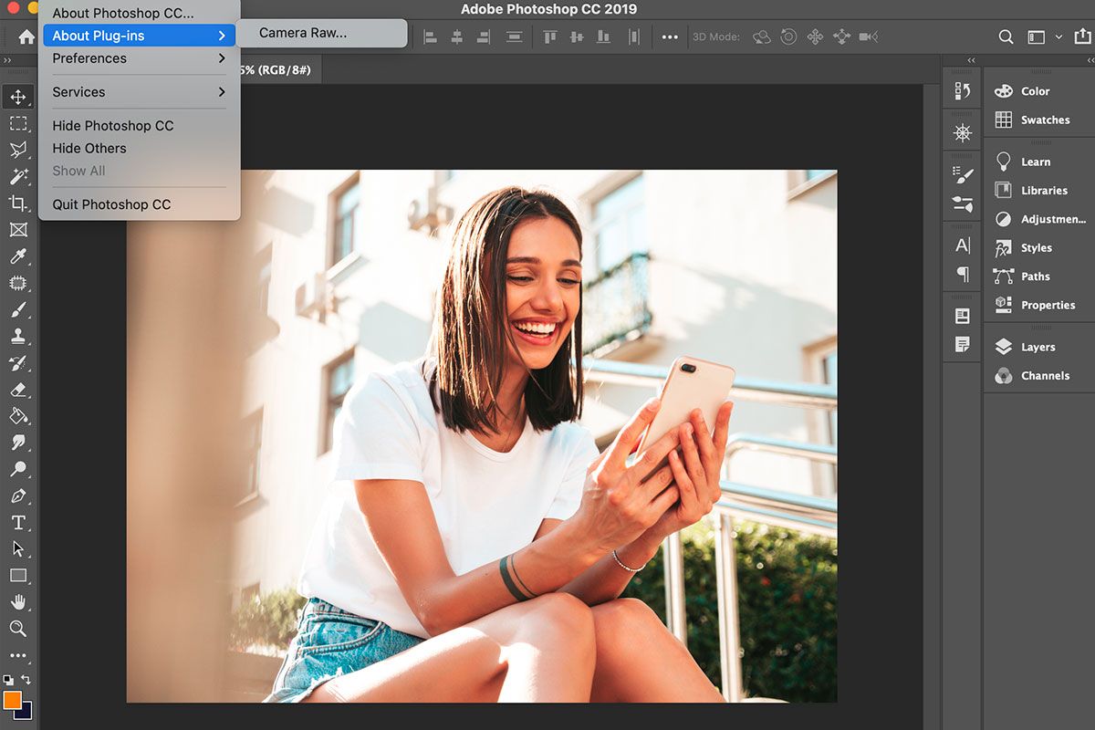 photoshop interface plugins support
