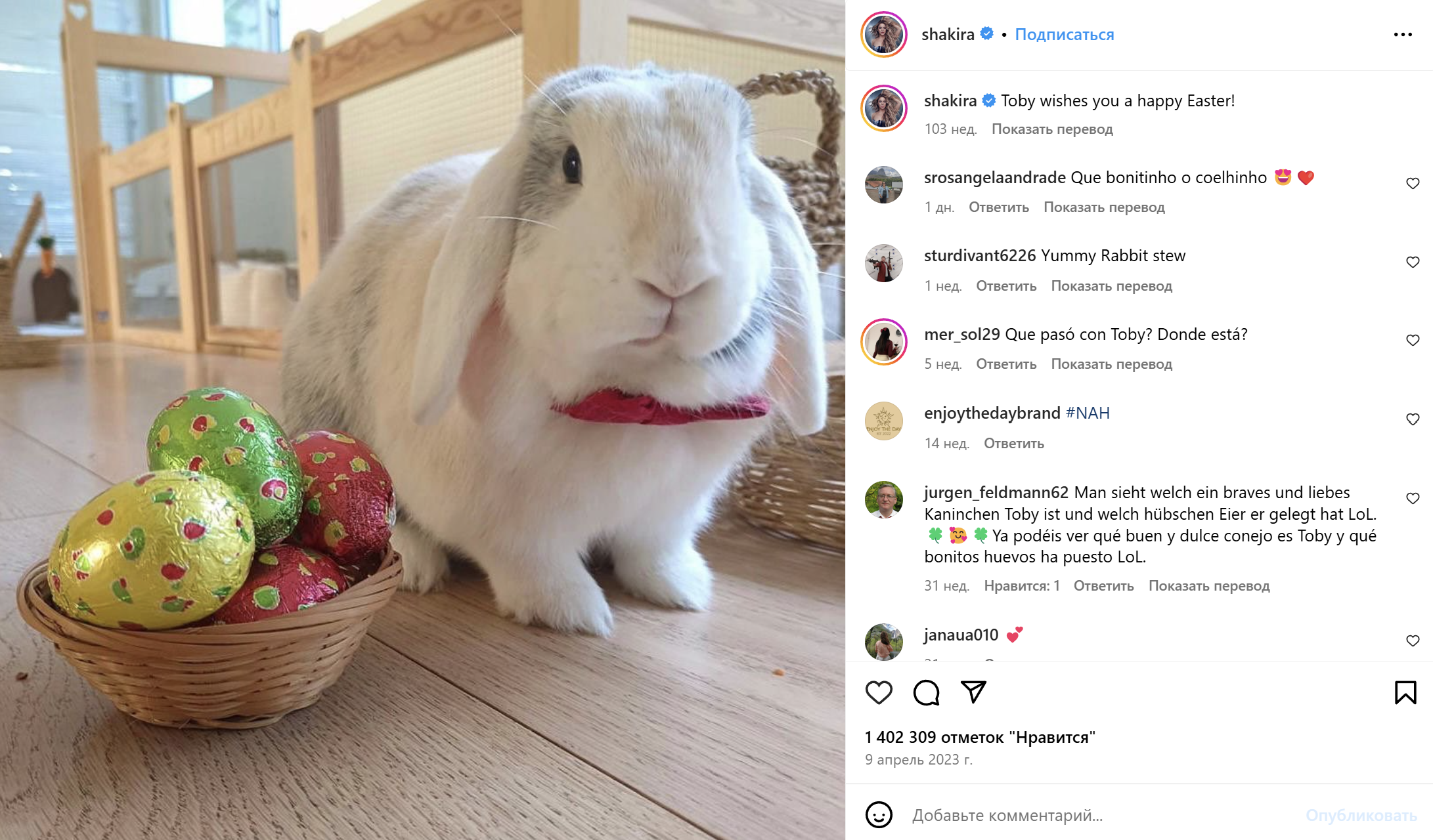 shakira easter picture ideas