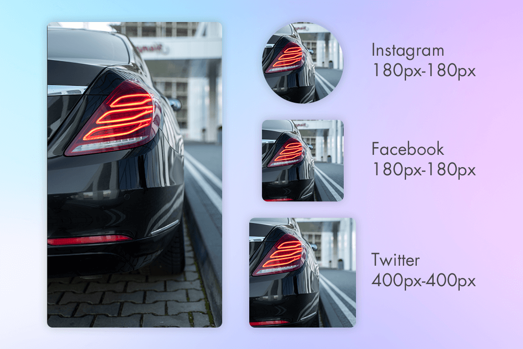 show what you love profile picture ideas