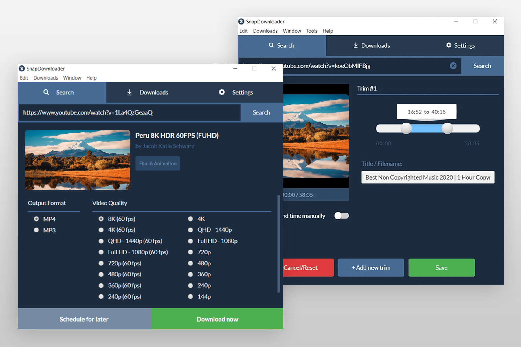 snapdownloader app to download youtube videos interface