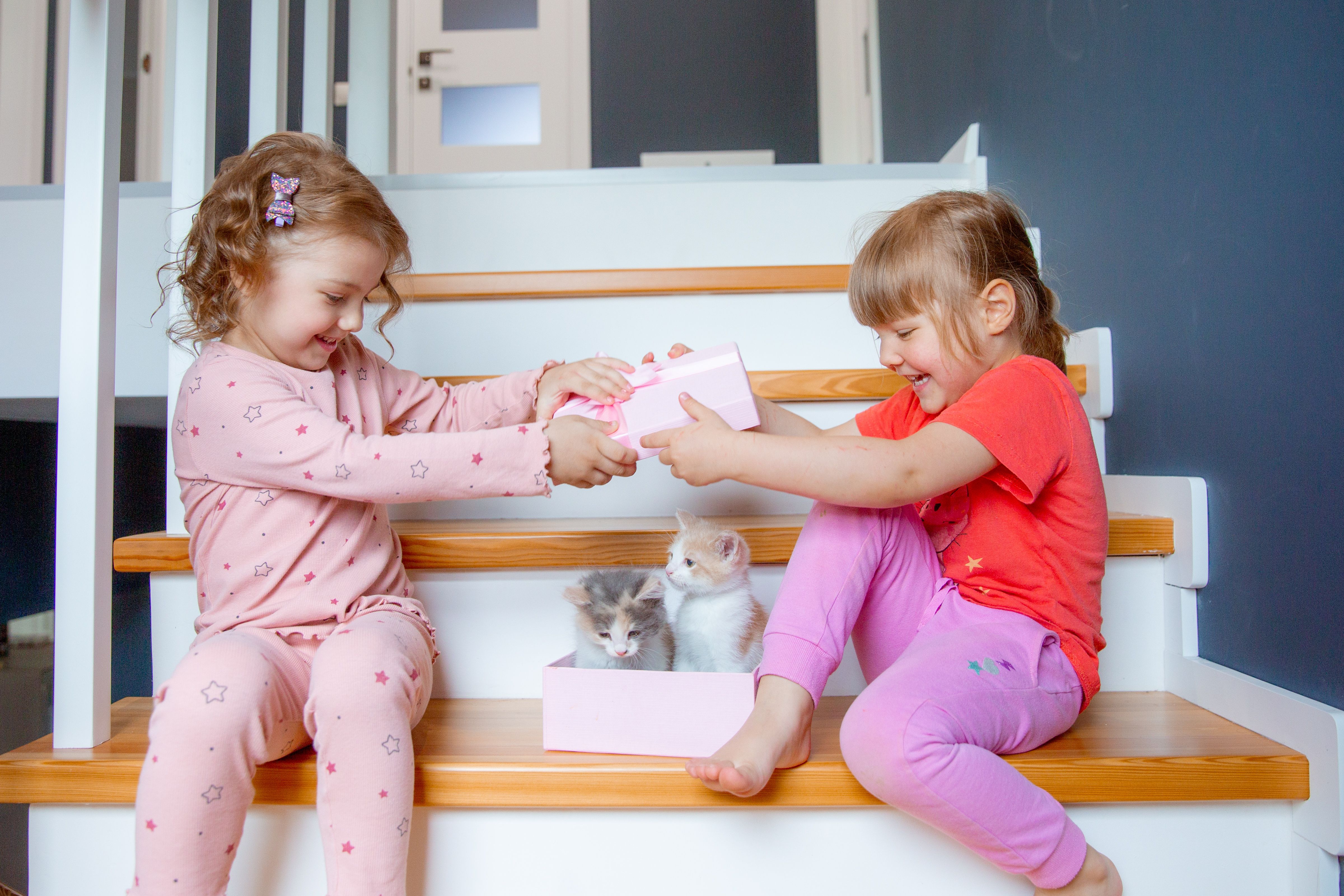 staircase storytime sibling photo ideas