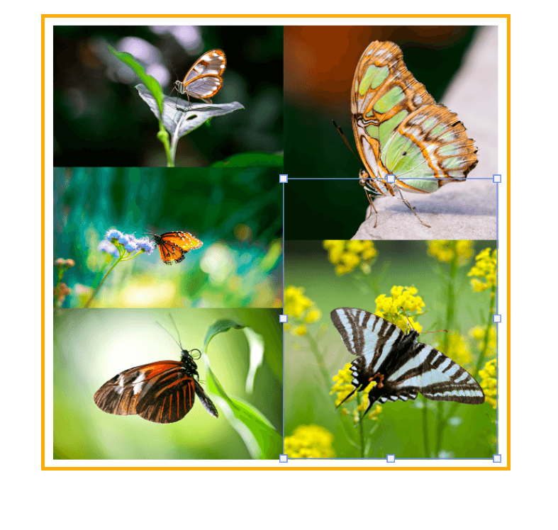 Create Collages In Photoshop In 11 Easy Steps Create Collages In Photoshop In 11 Easy Steps