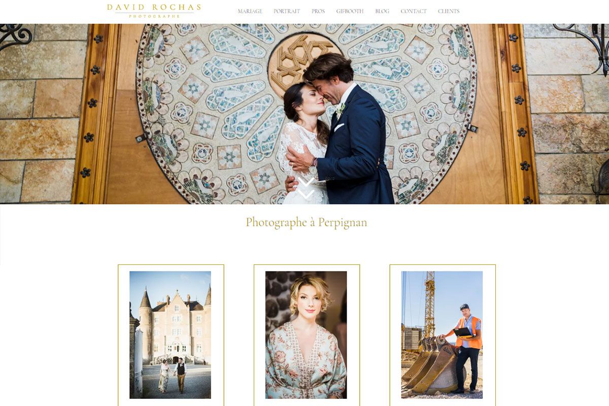 wedding photography websites david rochas