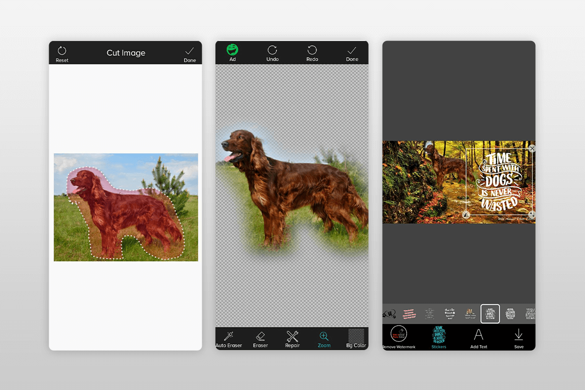 wild animal photo editor frame animals photo editor interface