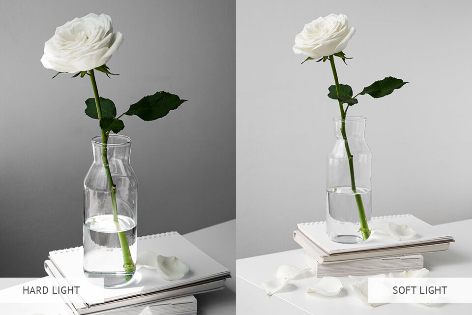 hard and soft lighting for still life photography