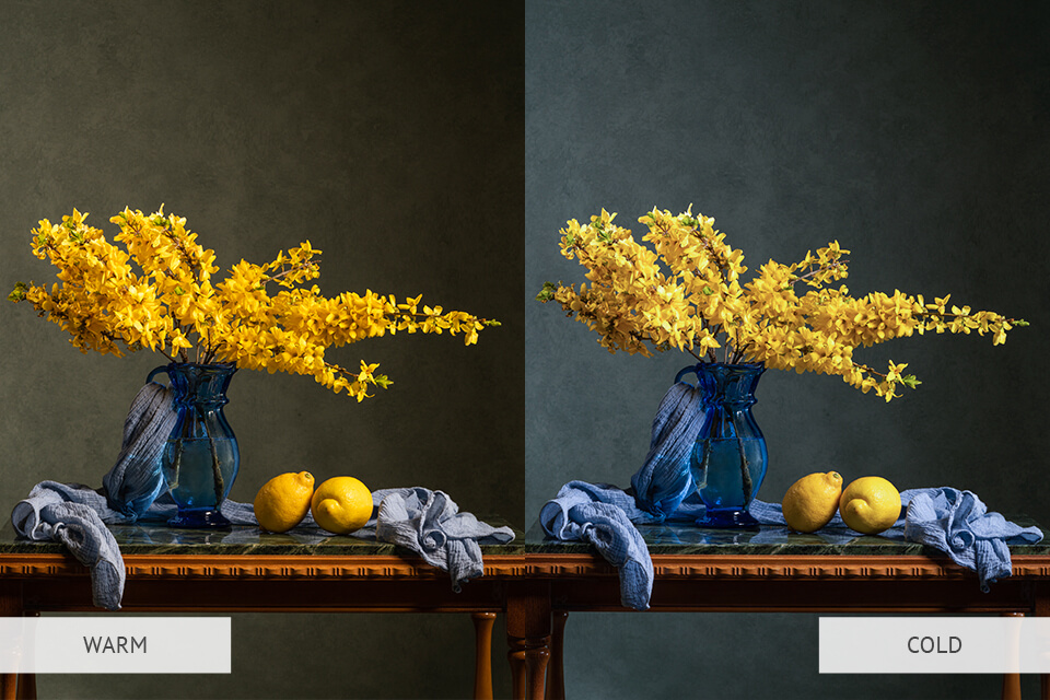 warm and cold lighting for still life photography